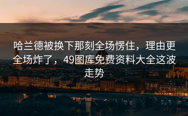 哈兰德被换下那刻全场愣住，理由更全场炸了，49图库免费资料大全这波走势