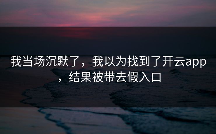 我当场沉默了，我以为找到了开云app，结果被带去假入口