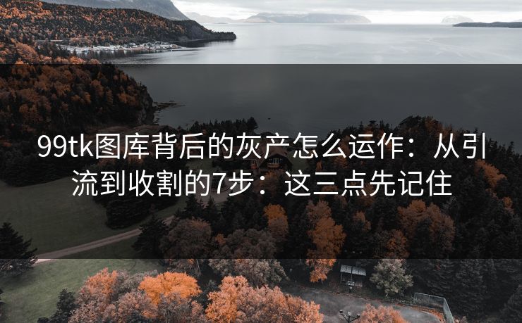 99tk图库背后的灰产怎么运作：从引流到收割的7步：这三点先记住