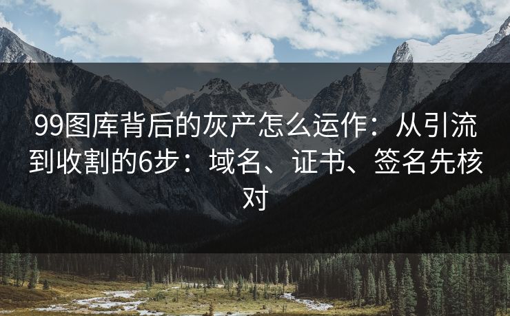 99图库背后的灰产怎么运作：从引流到收割的6步：域名、证书、签名先核对