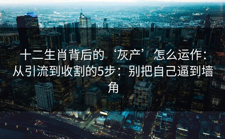 十二生肖背后的‘灰产’怎么运作：从引流到收割的5步：别把自己逼到墙角